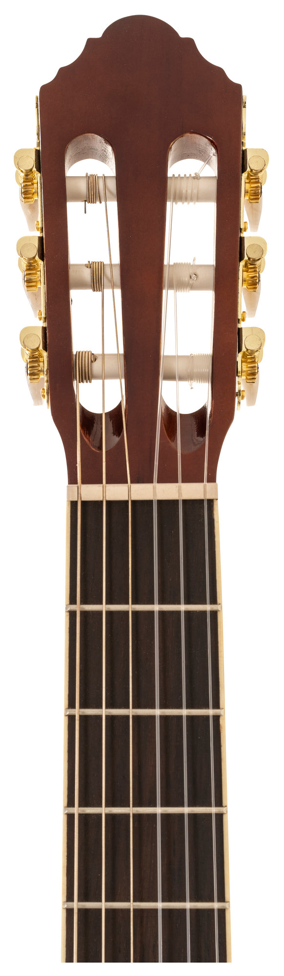 Delta Woods® CNS-2™ Classical Nylon String Guitar