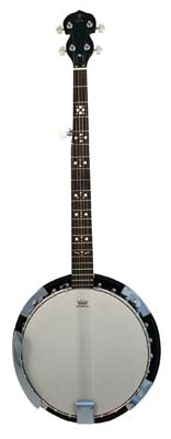 Danville Banjo BJ24