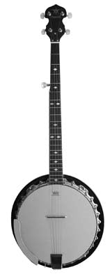 Danville Banjo BJ30