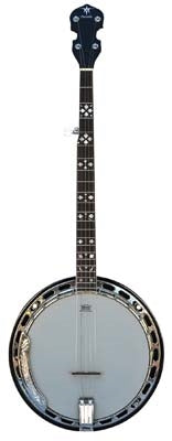 Danville Banjo BJ-009