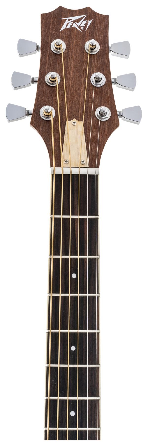 Delta Woods® DW-2™ Solid Top Dreadnought Acoustic Guitar