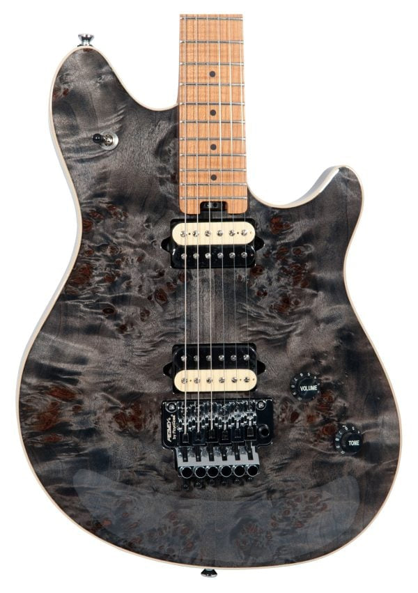 HP 2® Poplar Burl RM Transparent Black Electric Guitar